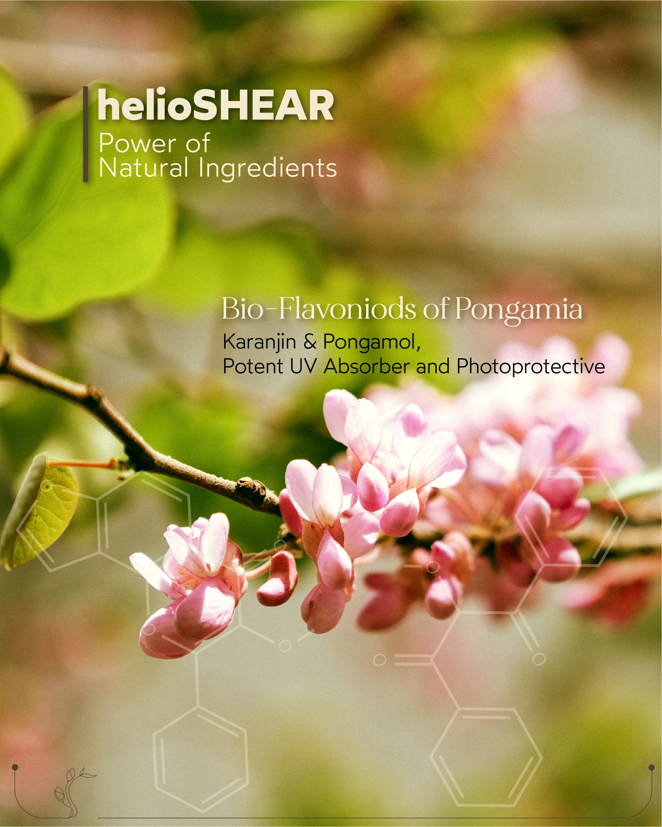 helioSHEAR